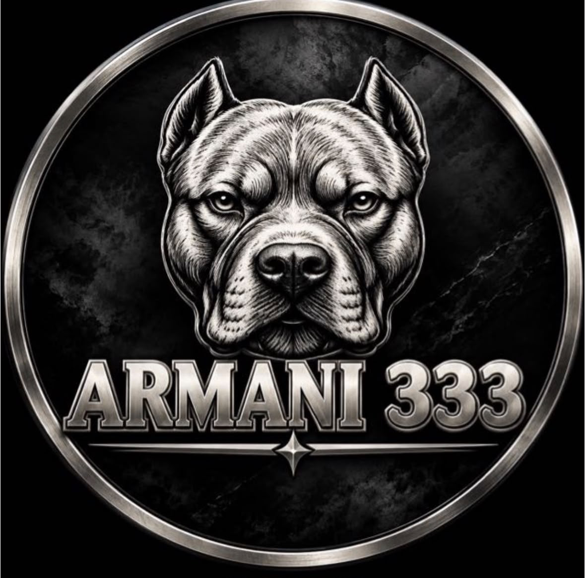 Armani 333 pitbull logo